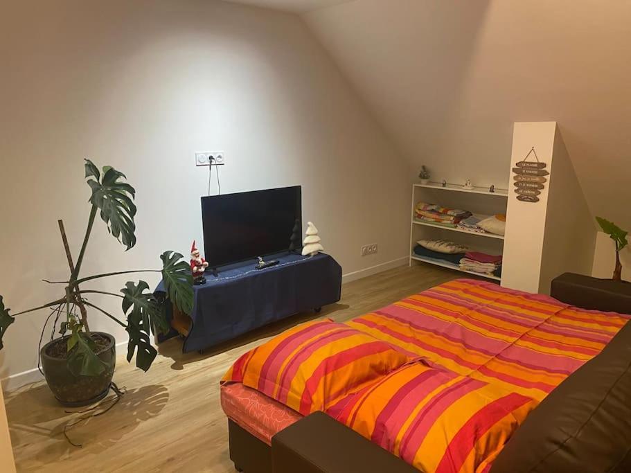 Apartament Les Sept Iles Baden Zewnętrze zdjęcie